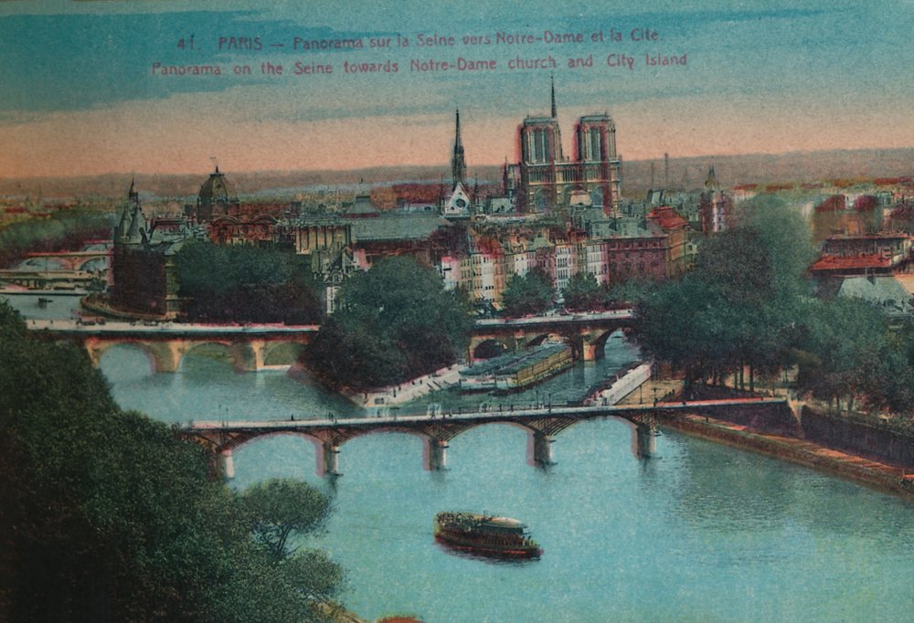 Panorama de la Seine avec la cathédrale Notre-Dame et l
