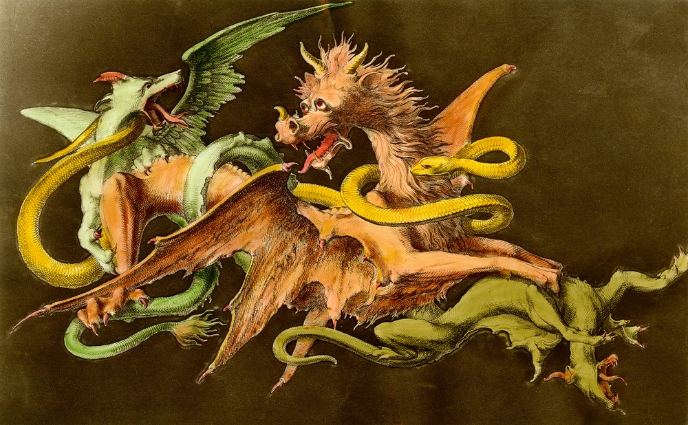 Chimères Un dragon combattant deux monstres. Gravure du 19ème siècle. - Unknown artist