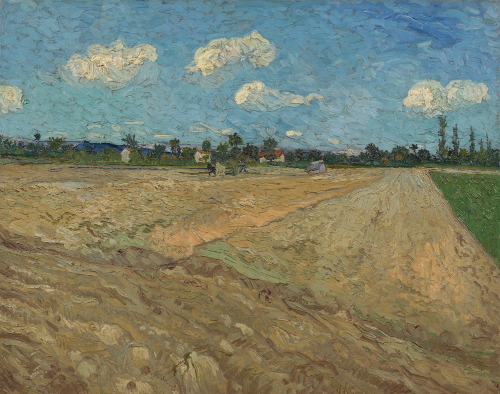 Champs labourés (