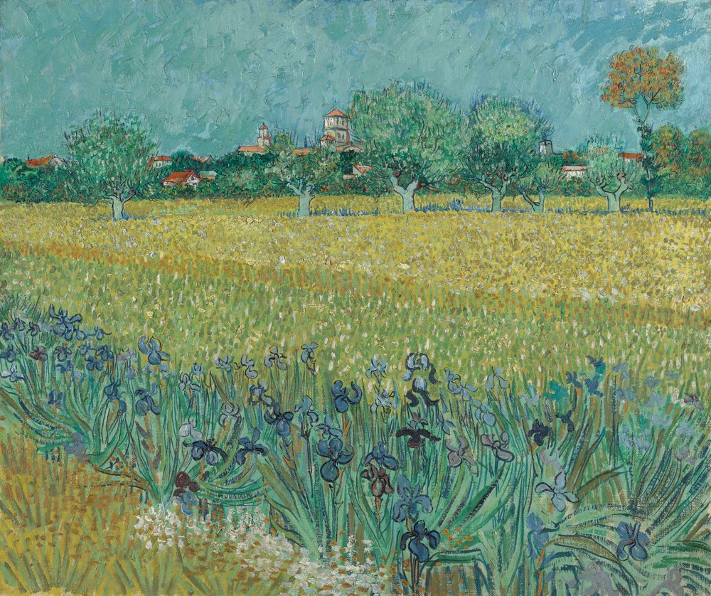 Champ de fleurs près d