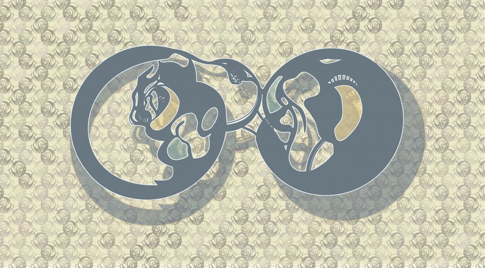 Résumé : Feline Infinity - Alejandra Winkhaus