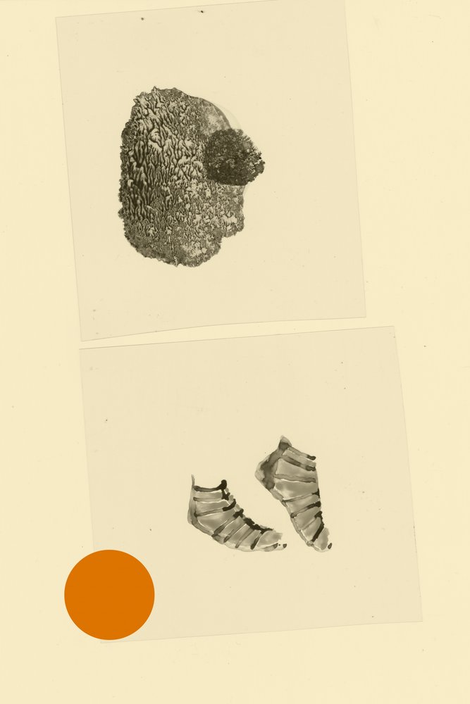 Tête-pied - Alexander Adiels