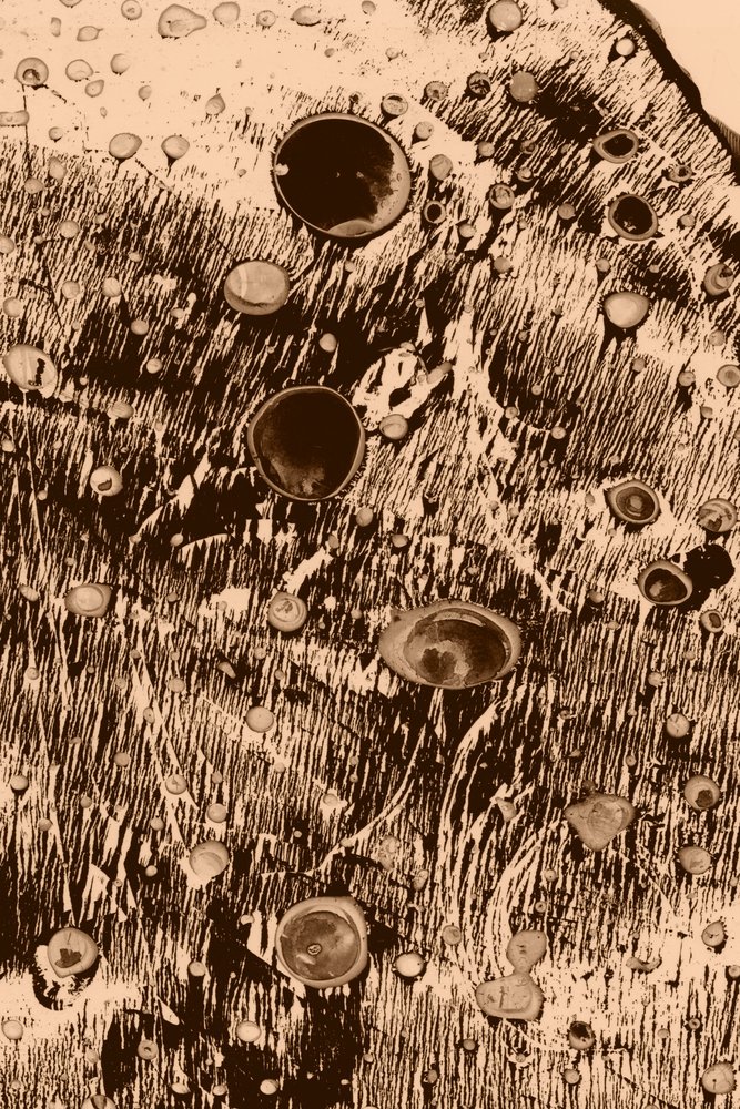 Oxygène - Alexander Adiels