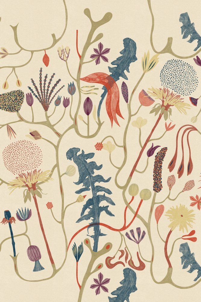 Agir - Alexander Adiels