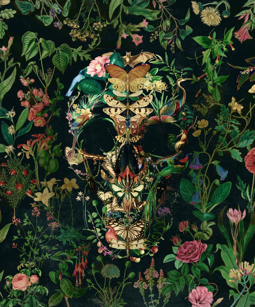 Crâne floral sombre - Ali Gulec