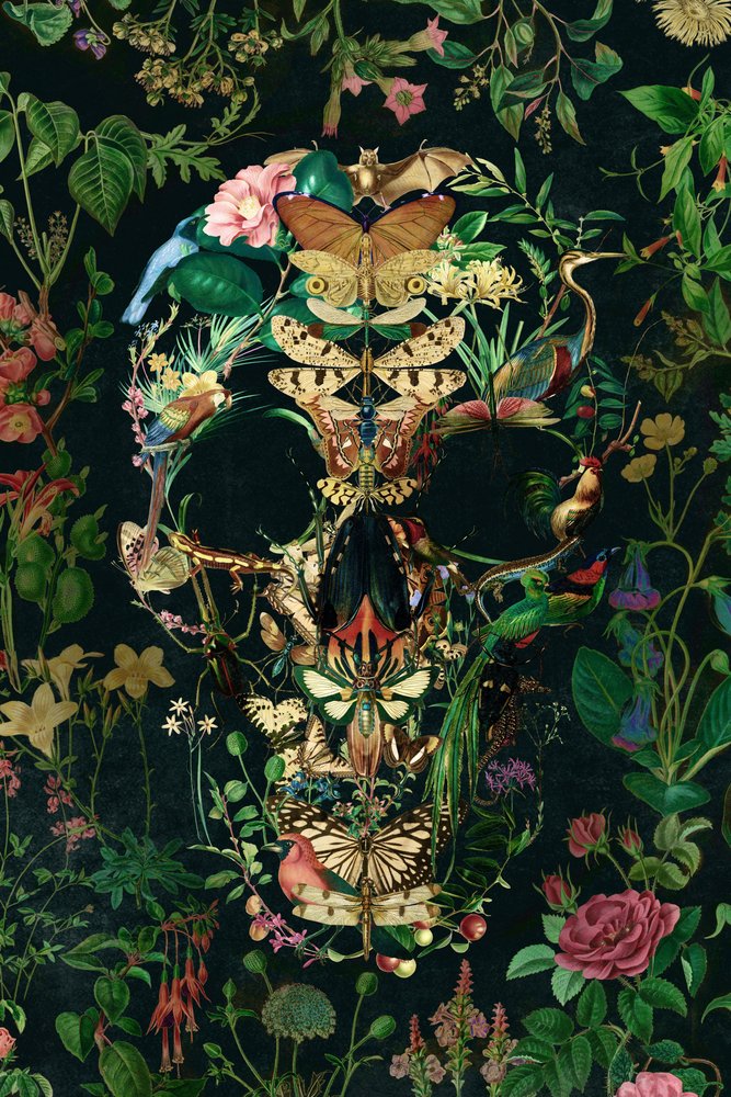 Crâne de la nature sombre - Ali Gulec