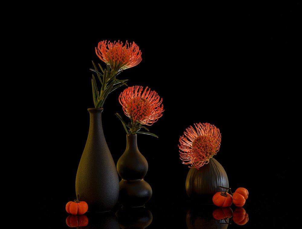 Nature morte aux protéas d