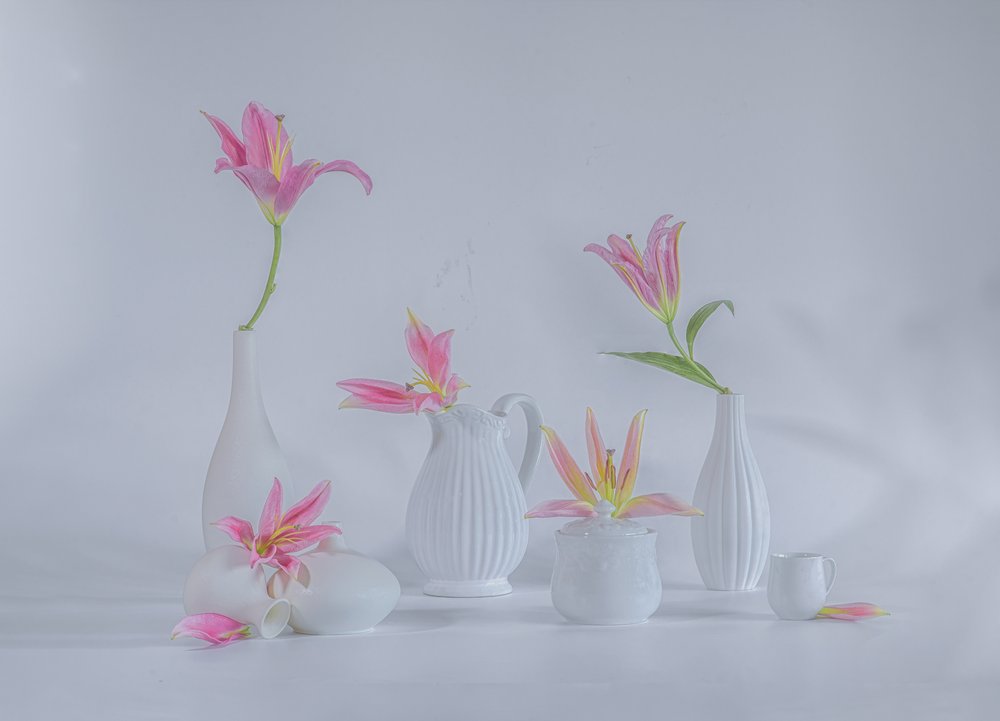 Lys roses délicats - Alice Sheng