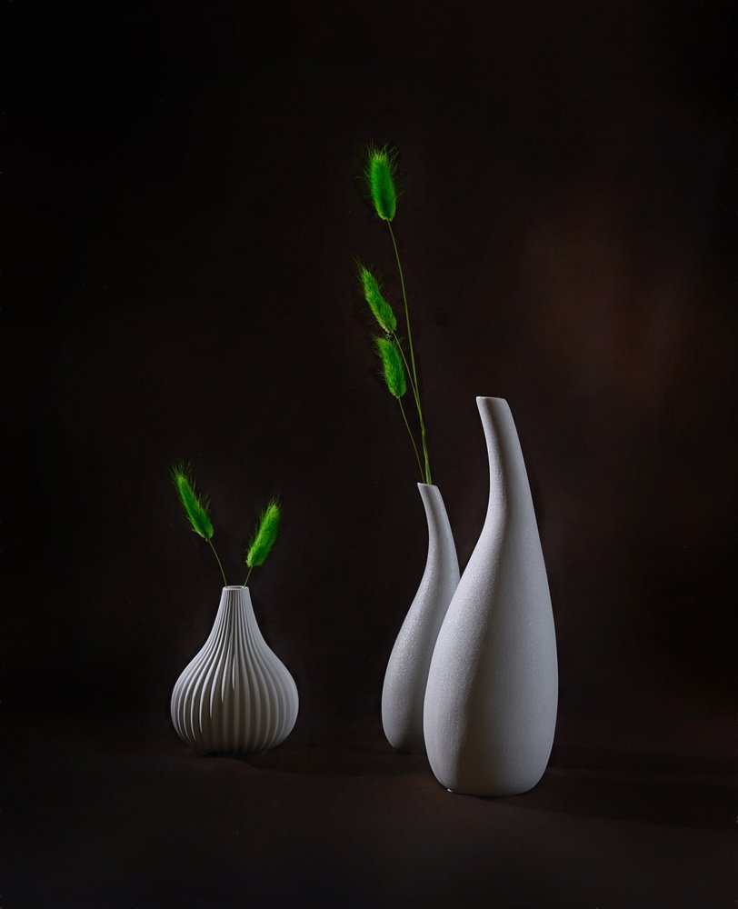 Vases élégants et verdure - Alice Sheng