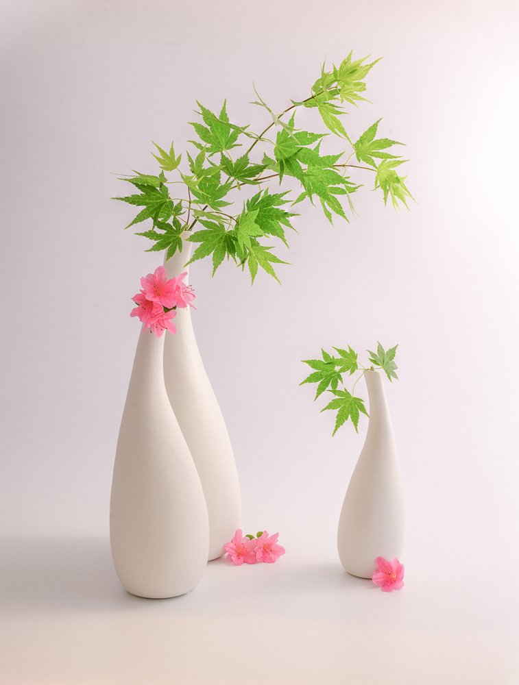 Feuilles vertes, fleurs roses - Alice Sheng