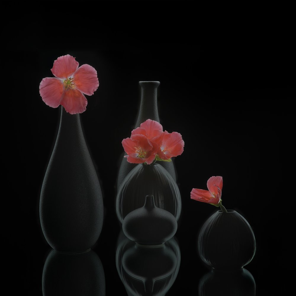 Vases floraux minimalistes - Alice Sheng