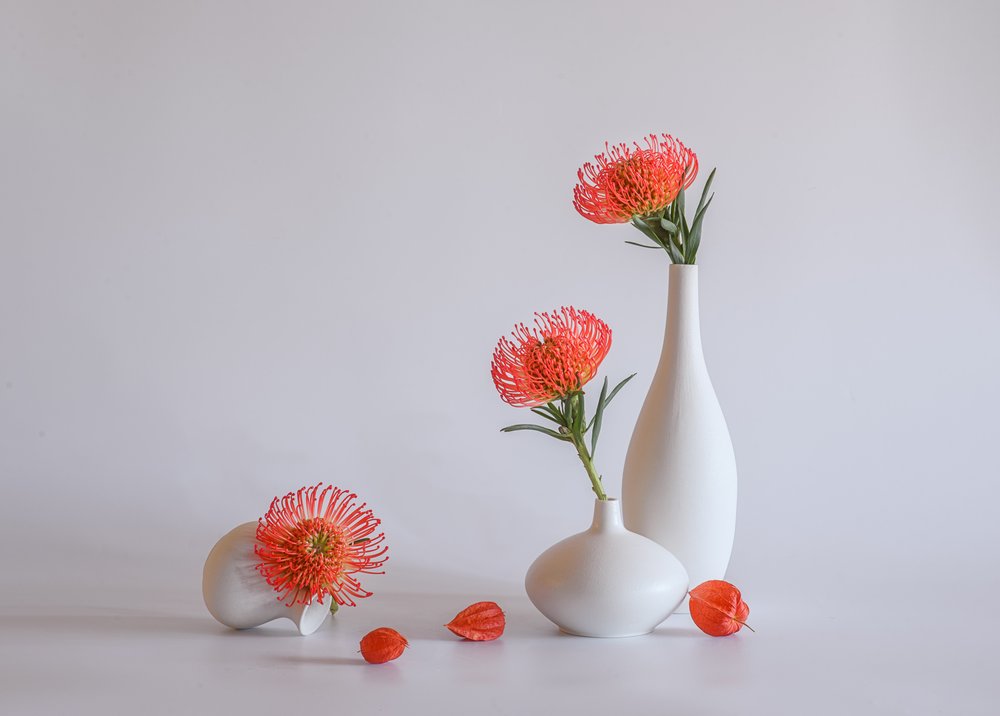 Vases Protea orange - Alice Sheng