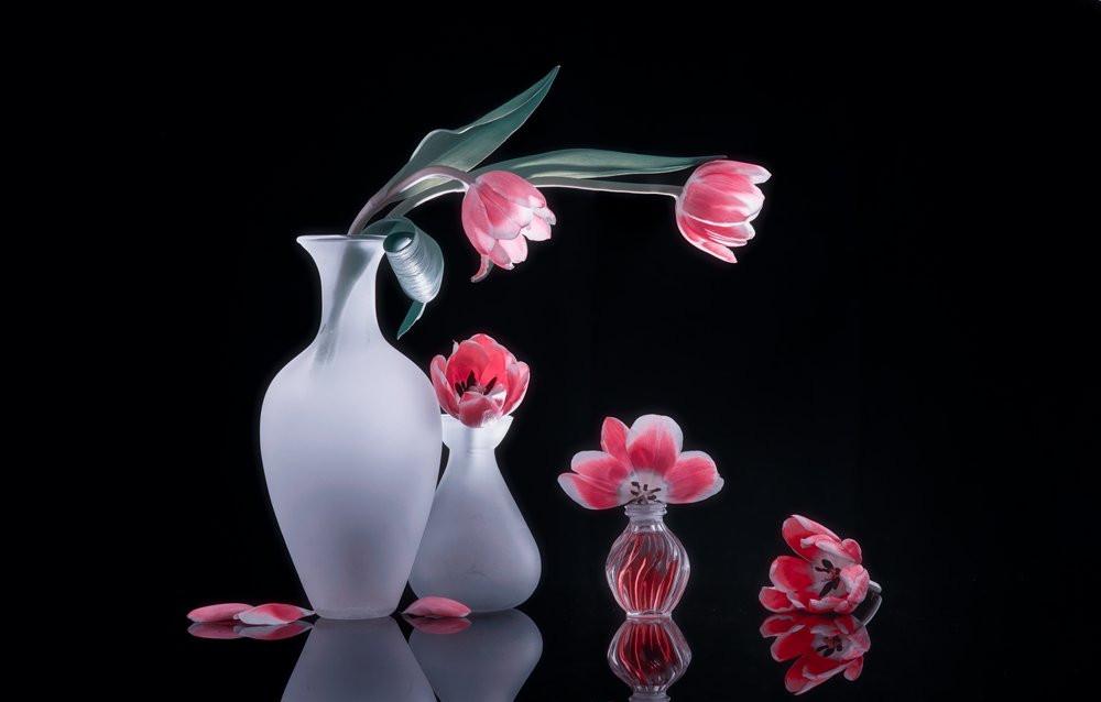 Nature morte aux tulipes roses - Alice Sheng
