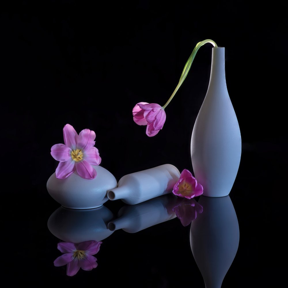 Tulipes violettes en reflet - Alice Sheng