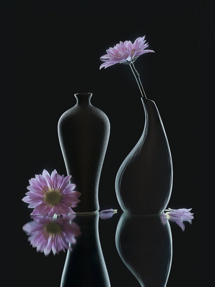 Réflexions florales sereines - Alice Sheng