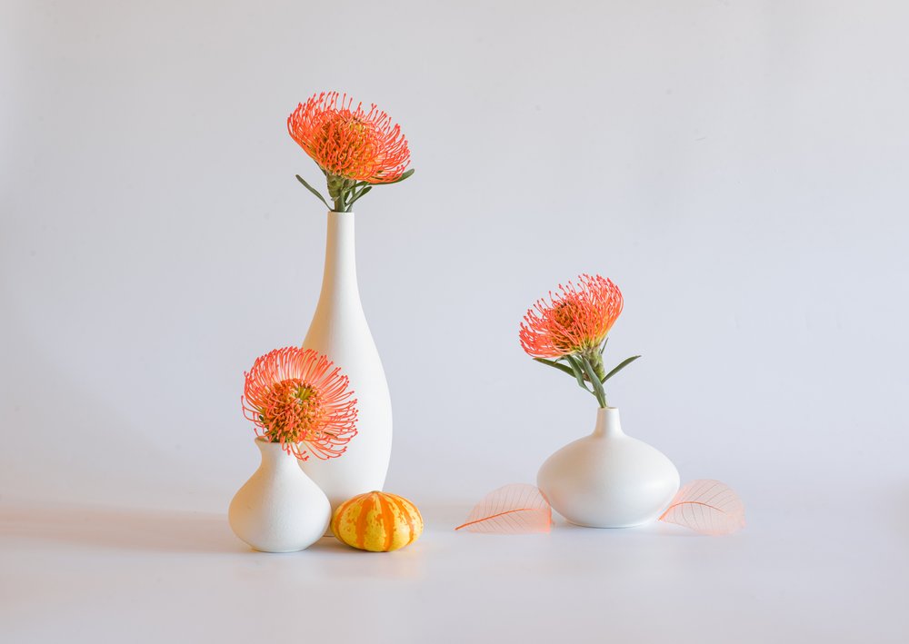 Composition automnale aux couleurs vives - Alice Sheng