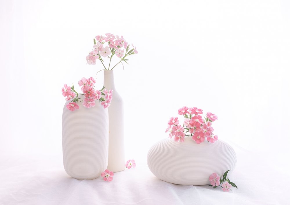 nature morte 114 - Alice Sheng
