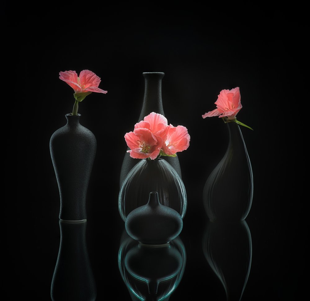 nature morte 45 - Alice Sheng