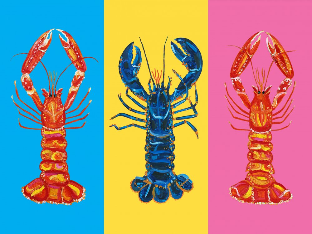 Homards pop colorés - Alice Straker