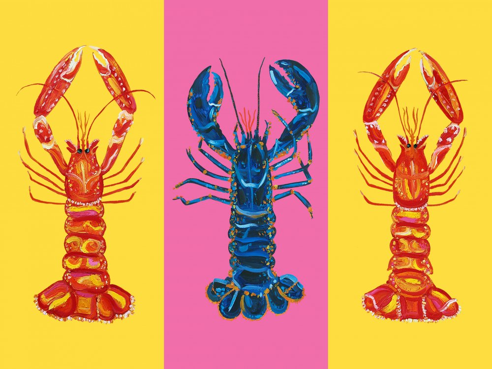 Lobster Langoustines Pop Art 2 - Alice Straker