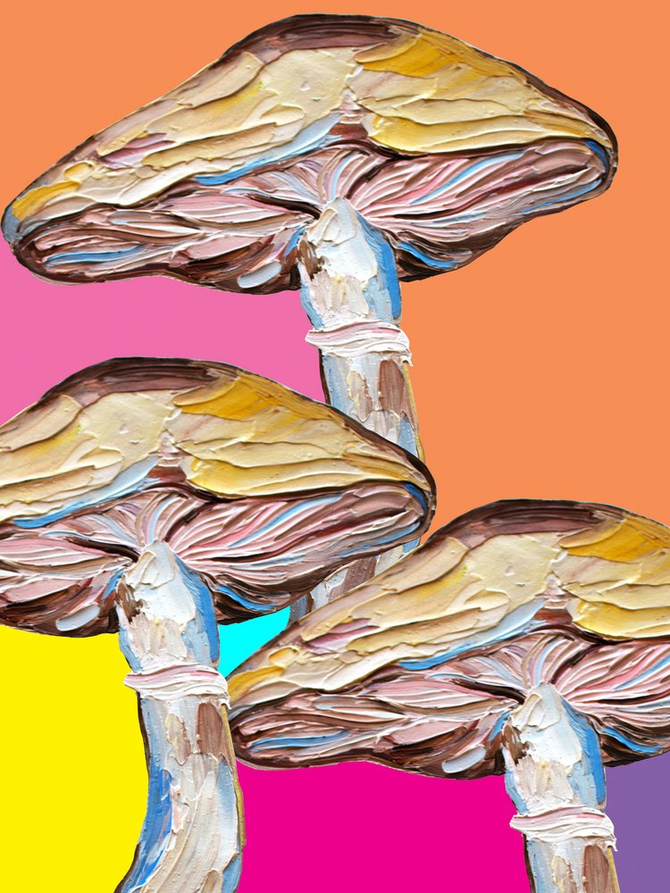Pop art sur le thème des champignons psychédéliques - Alice Straker