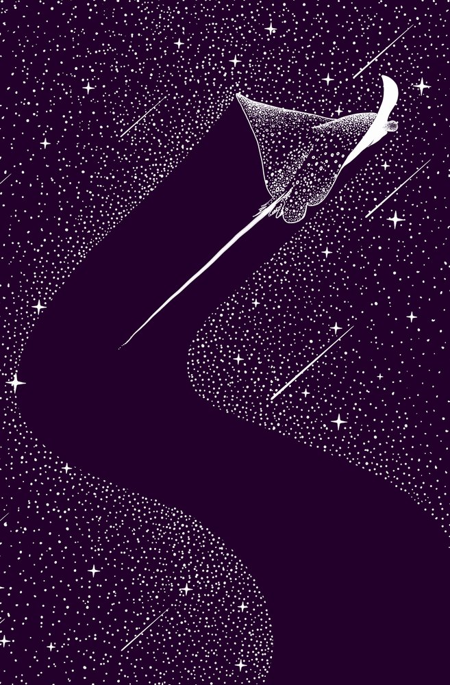 Raie aigle céleste - Alirıza ÇAKIR