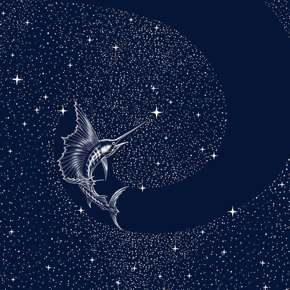 Espadon céleste - Alirıza ÇAKIR