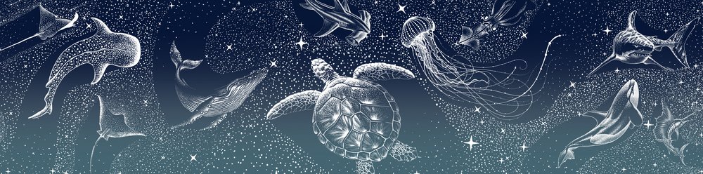 Animaux marins célestes - Alirıza ÇAKIR