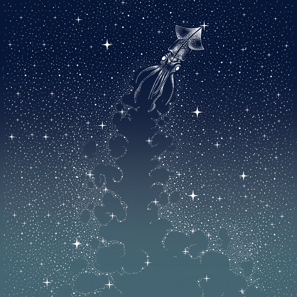 Le vol du calmar céleste - Alirıza ÇAKIR