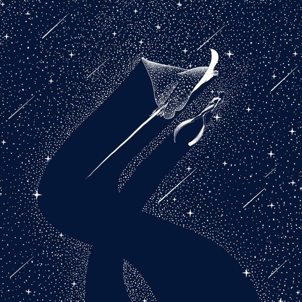 Rêve de raie cosmique - Alirıza ÇAKIR