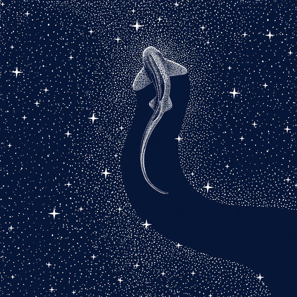 Requin cosmique - Alirıza ÇAKIR