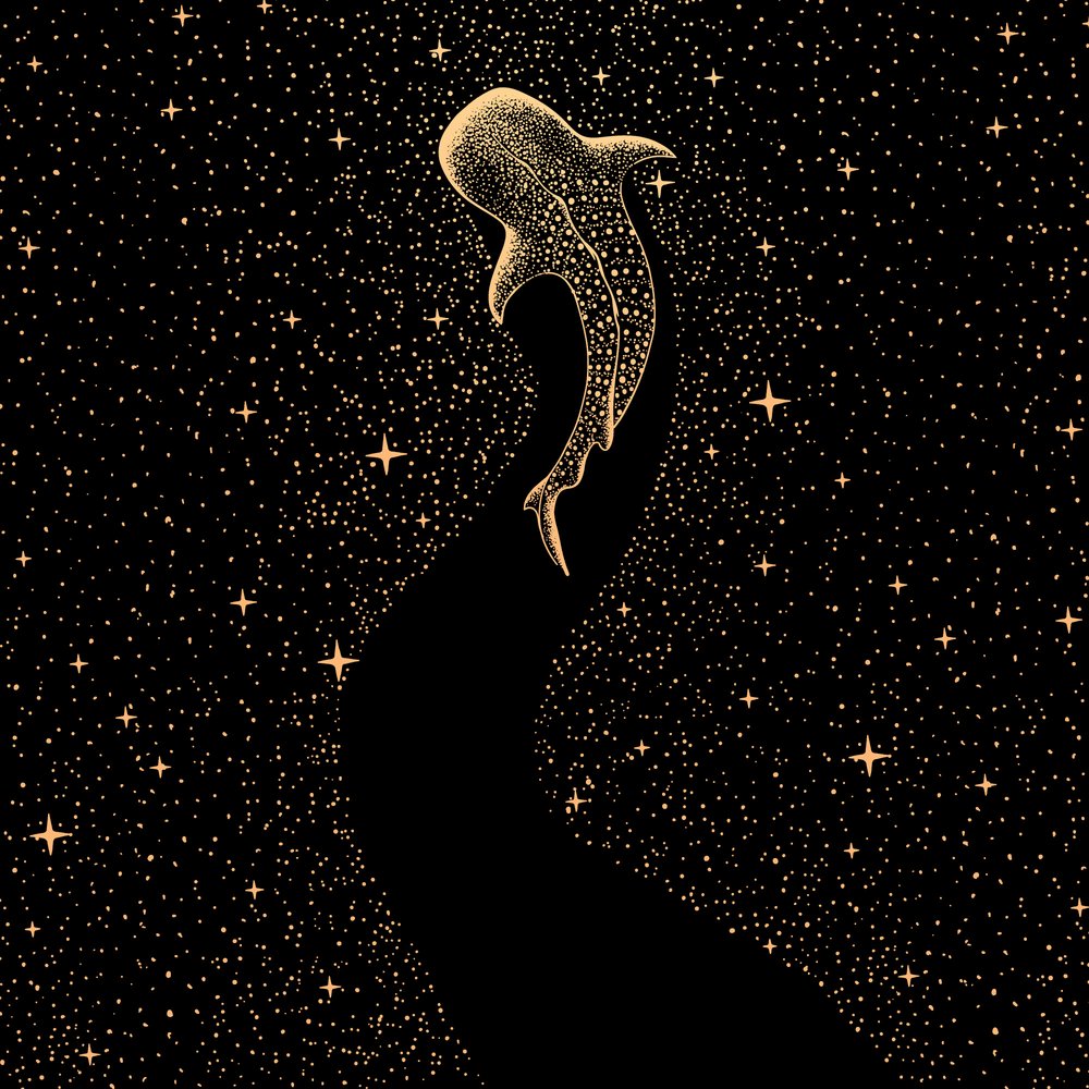 Requin-baleine cosmique - Alirıza ÇAKIR