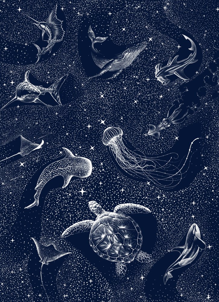 Les créatures de Starry Ocean - Alirıza ÇAKIR