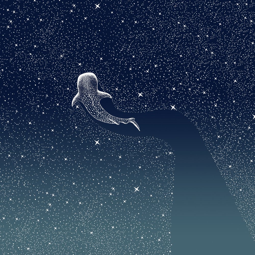 La Galaxie du Requin-baleine - Alirıza ÇAKIR