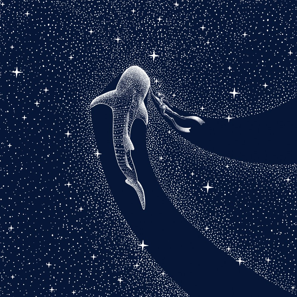 Voyage dans la galaxie des requins-baleines - Alirıza ÇAKIR