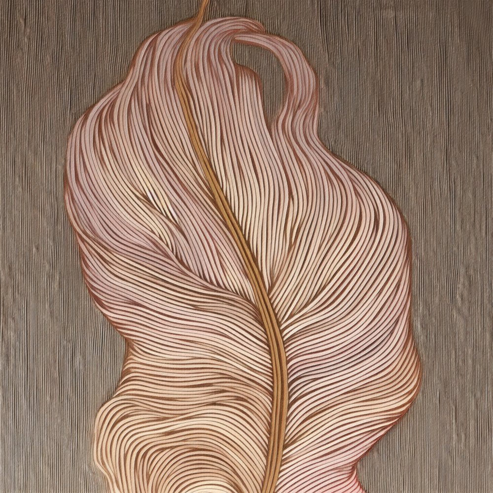 Des lignes fluides comme des plumes - Alma