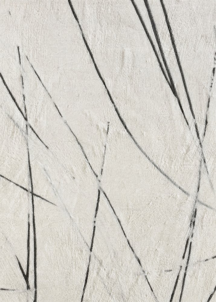 Lignes organiques et textures - Alma