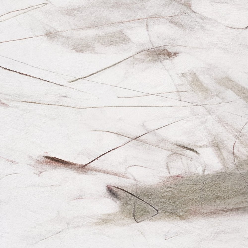 Des lignes fluides et subtiles - Alma