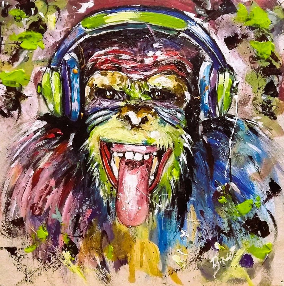 Le singe musicien coloré - Anda Bieza