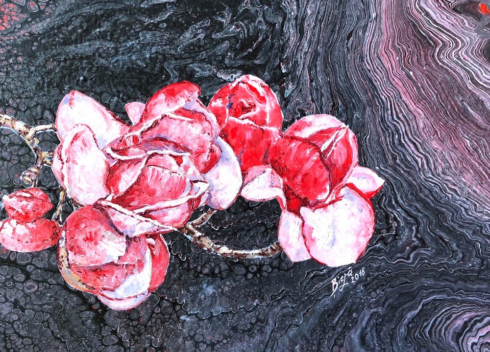 Des roses rouges spectaculaires - Anda Bieza