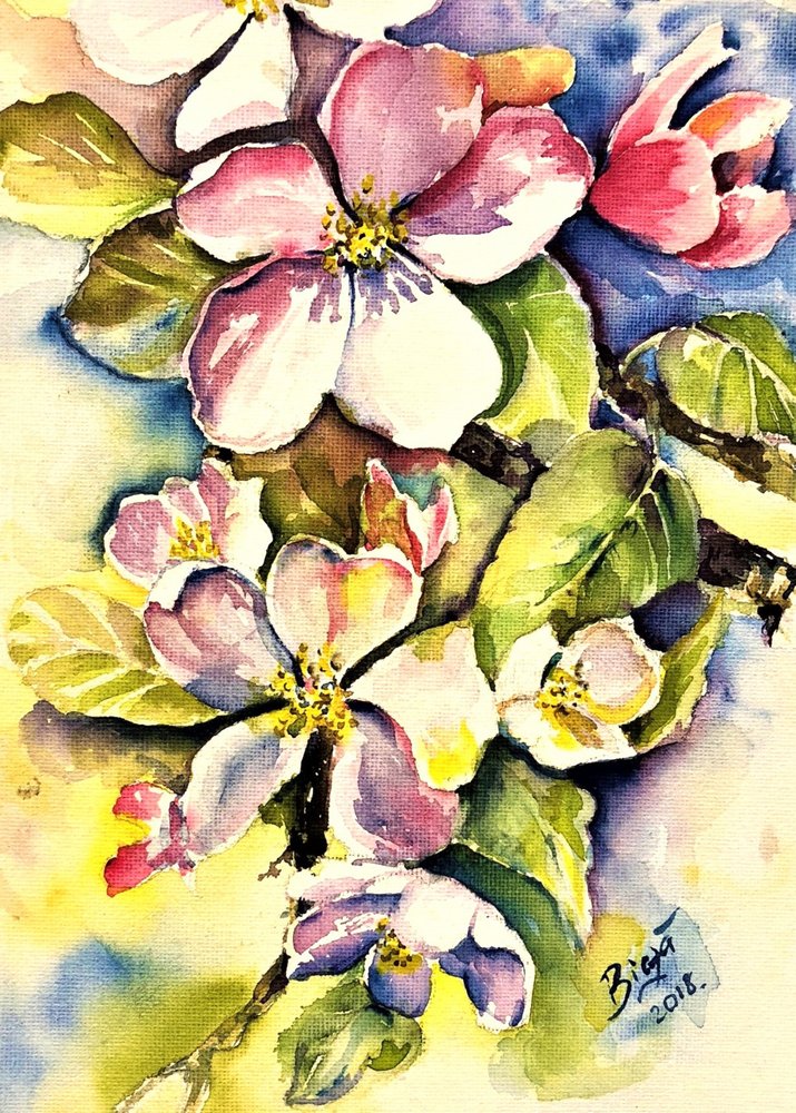 Fleurs de pommier au printemps - Anda Bieza