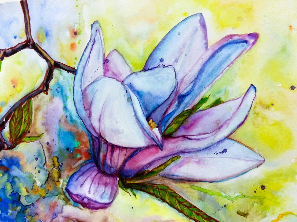 Une fleur de magnolia éclatante - Anda Bieza