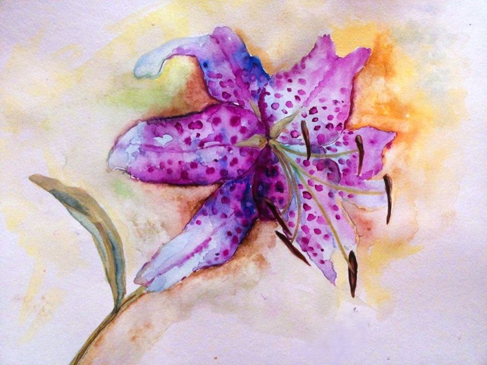 Fleur de lys tachetée aux couleurs vives - Anda Bieza