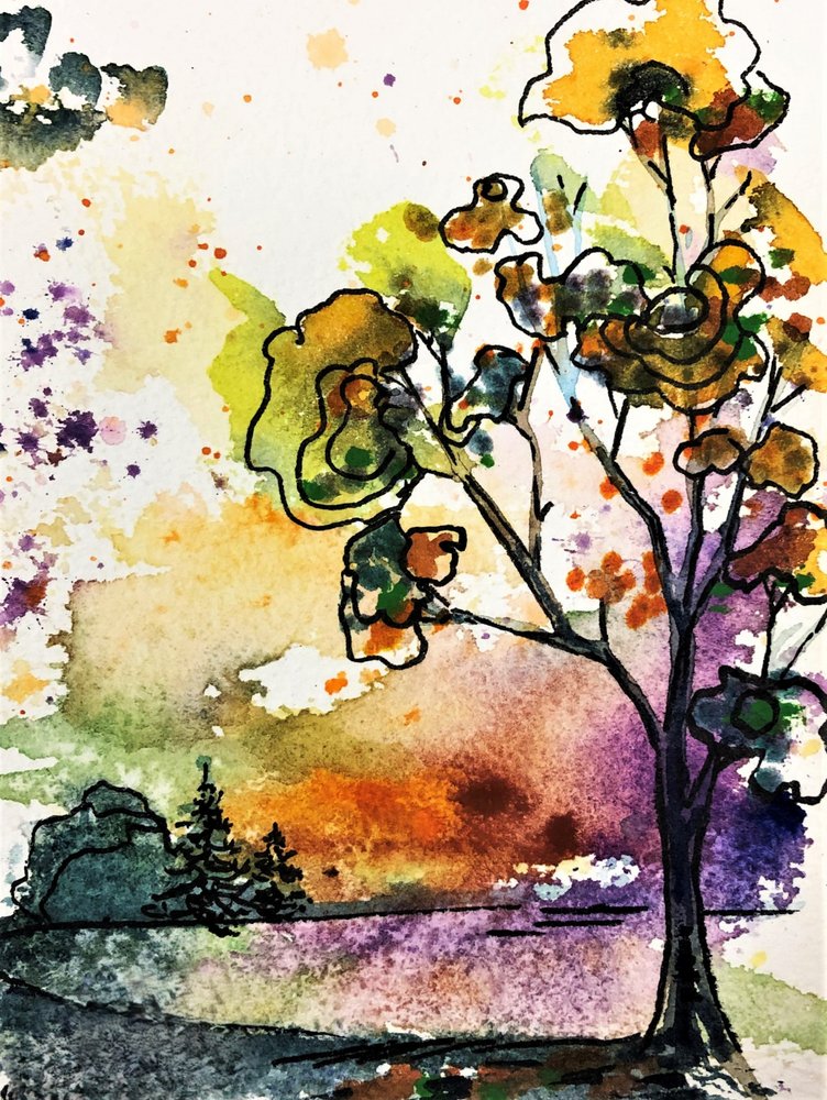 Arbre aux couleurs chatoyantes au coucher du soleil - Anda Bieza