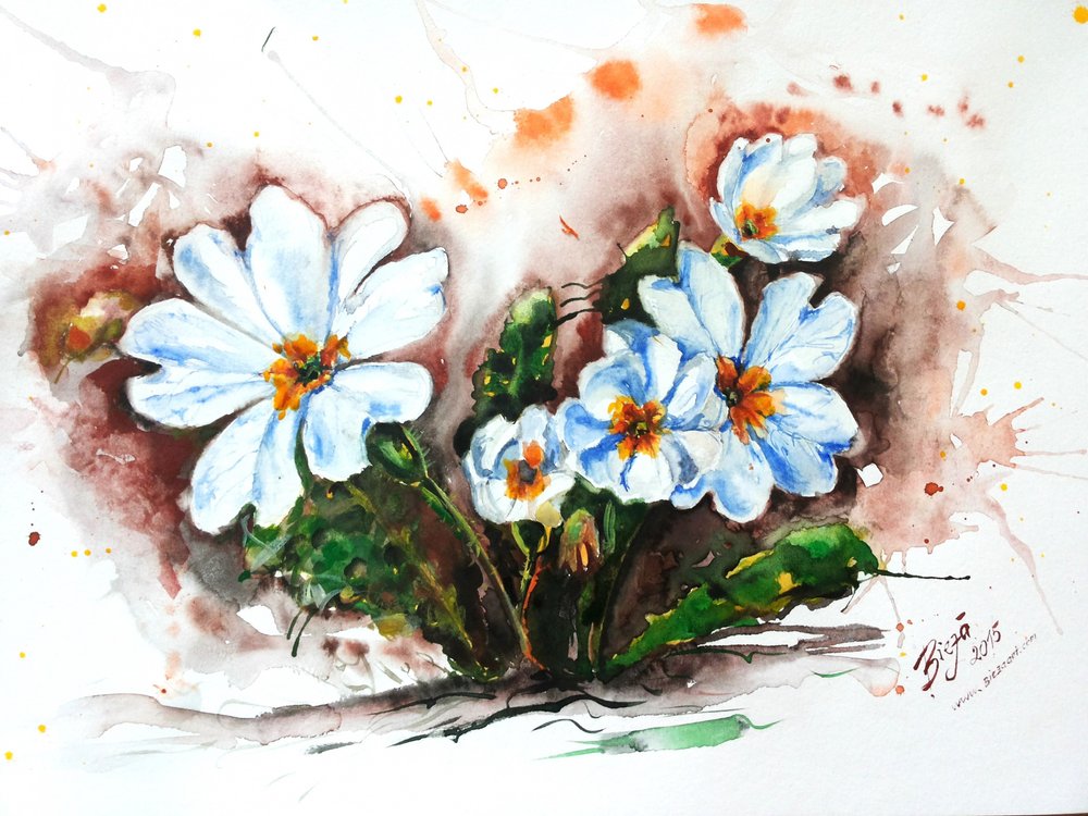 Fleurs aux couleurs vives à l