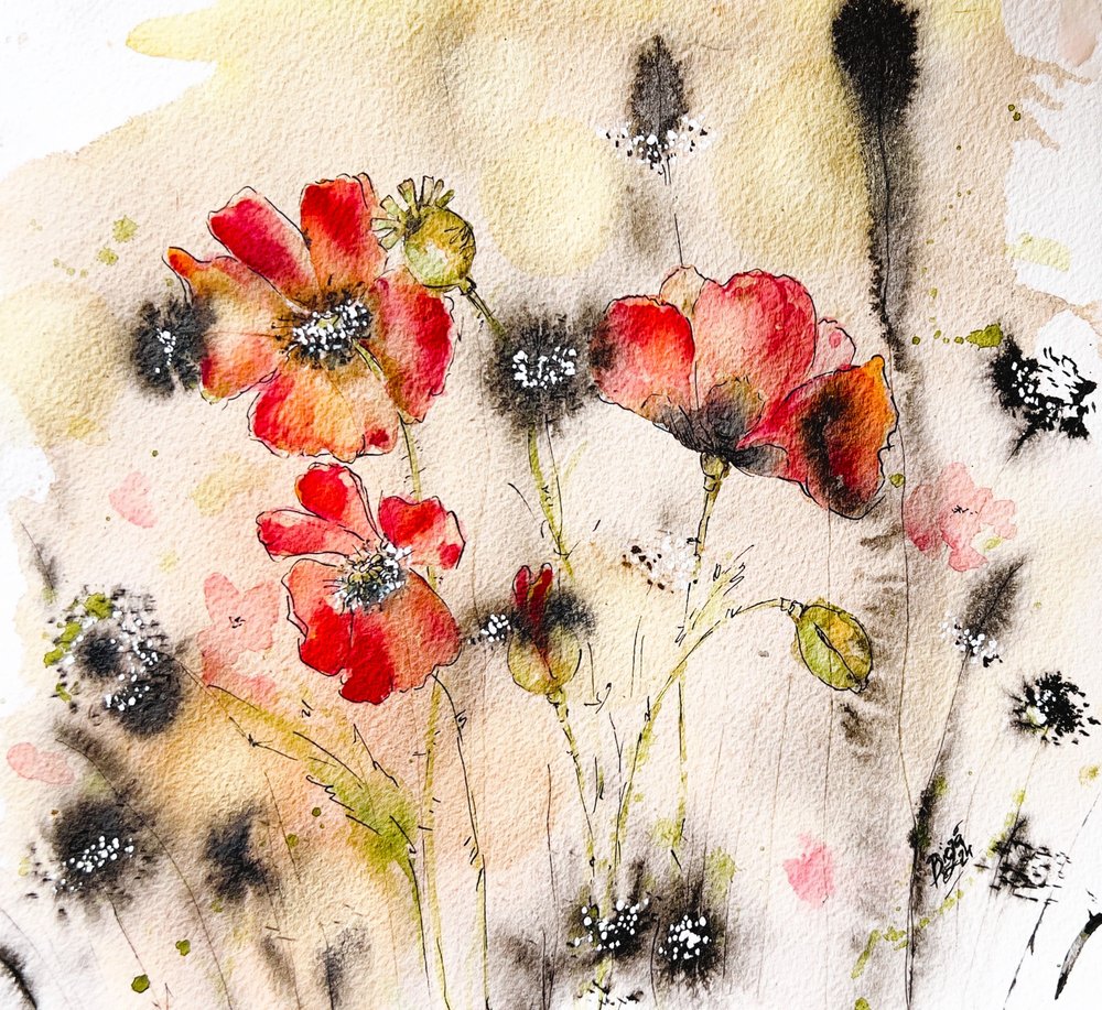 Aquarelle de pavot sauvage - Anda Bieza