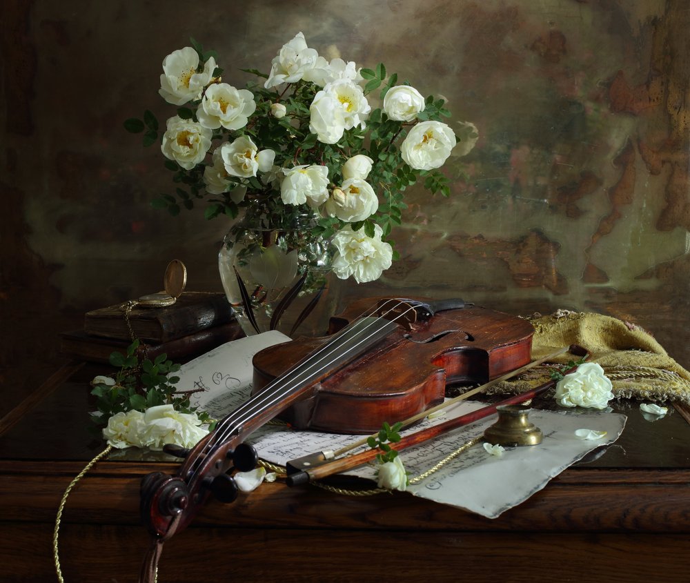 Des roses blanches et un violon - Andrey Morozov