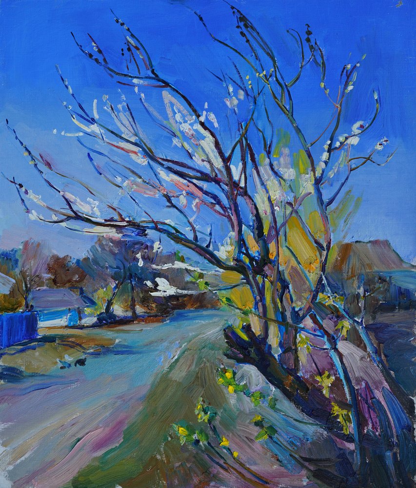 Le sentier du village en fleurs - Andrii Kutsachenko
