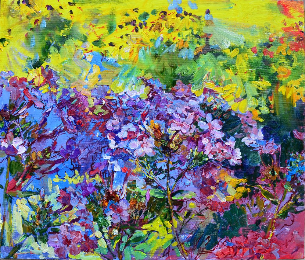 Jardin fleuri et coloré - Andrii Kutsachenko