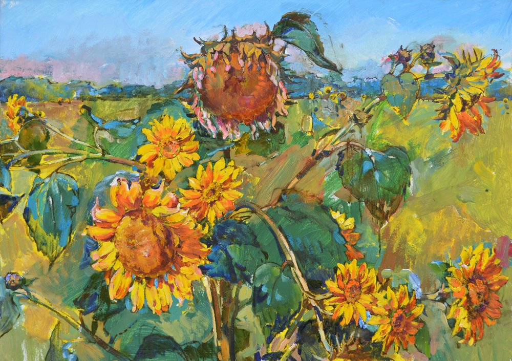 Champ de tournesols dorés - Andrii Kutsachenko